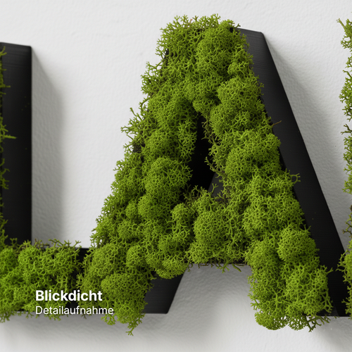 3D Moos Logo zum Kleben 2