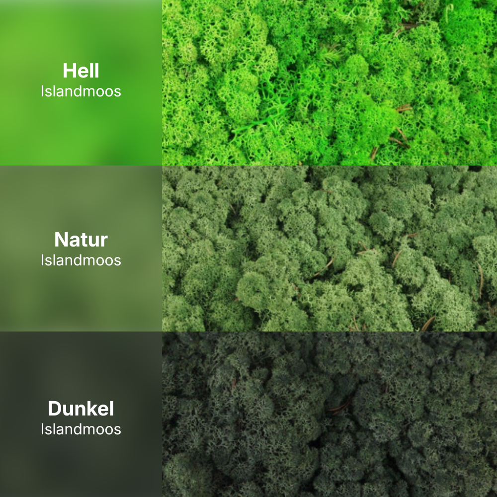 3D Moos Logo zum Kleben 2